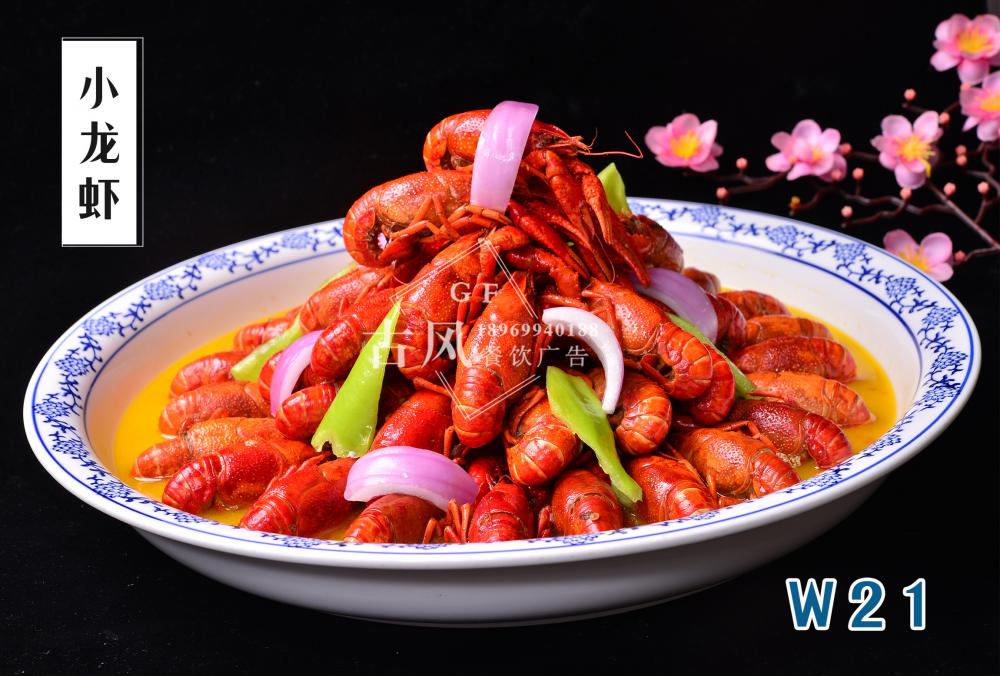 W21小(xiǎo)龍蝦