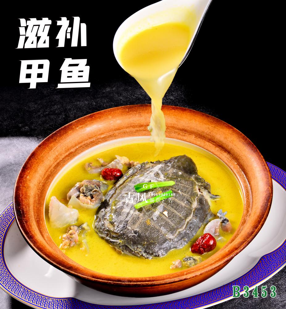 B3453滋補甲魚 金(jīn)湯甲魚