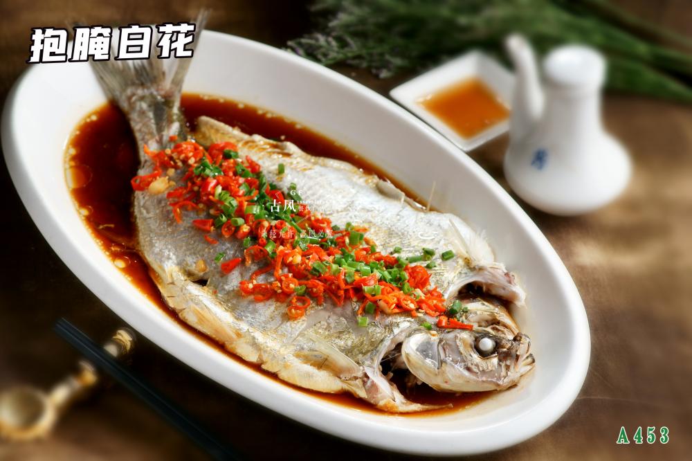 A453抱腌白(bái)花(huā)