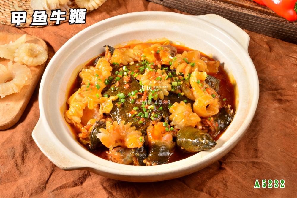 A5232狀元甲 甲魚牛鞭