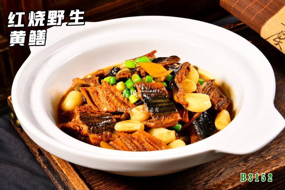 B3152紅(hóng)燒野生(shēng)黃(huáng)鳝