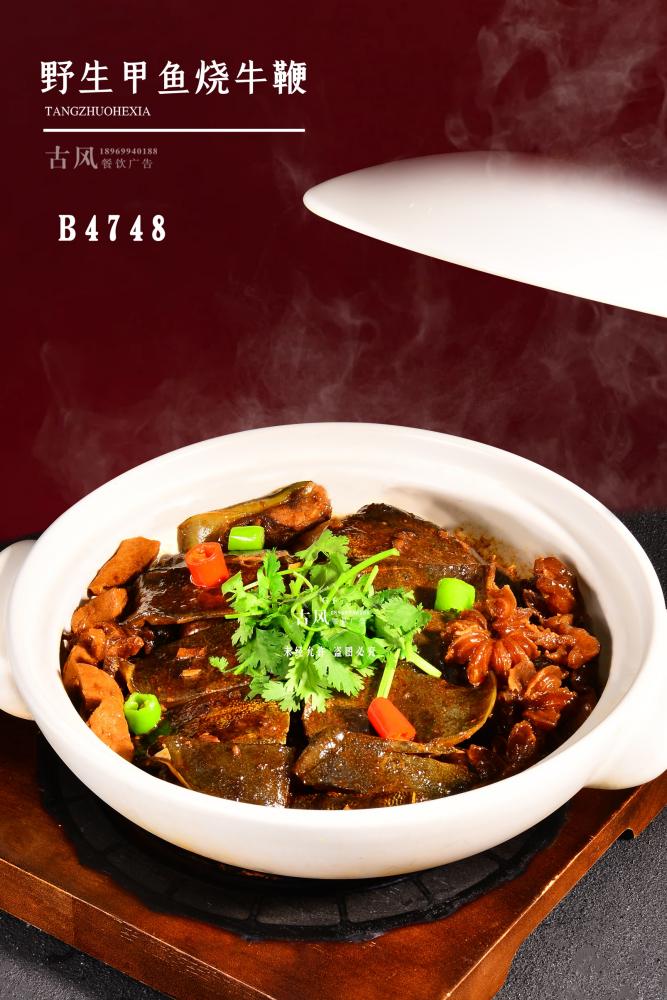 B4748野生(shēng)甲魚燒牛鞭