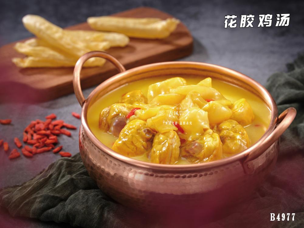 B4977花(huā)膠雞湯