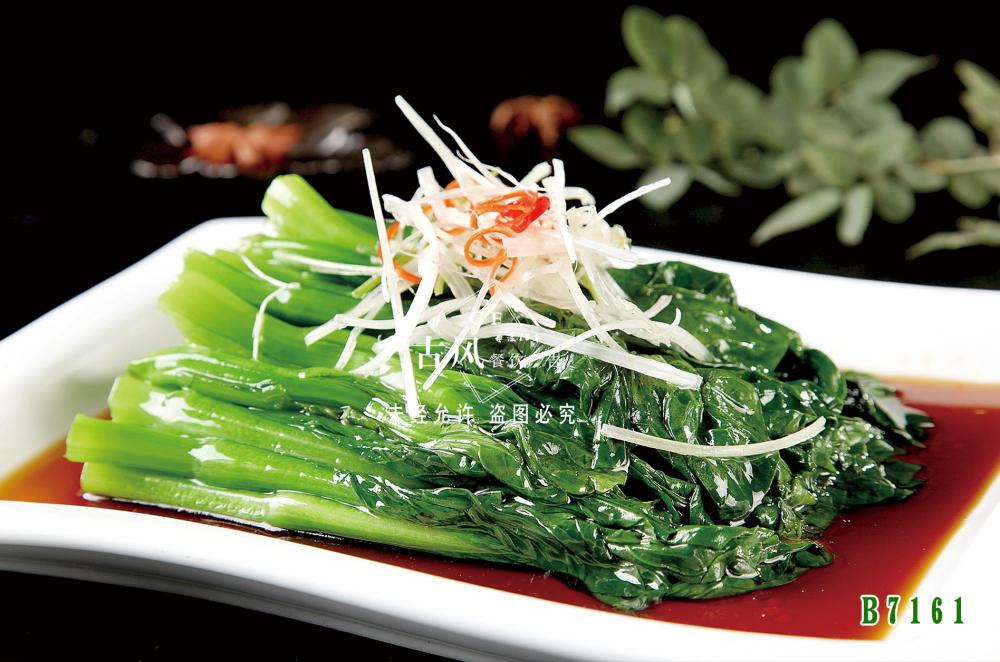 B7161廣東(dōng)菜心