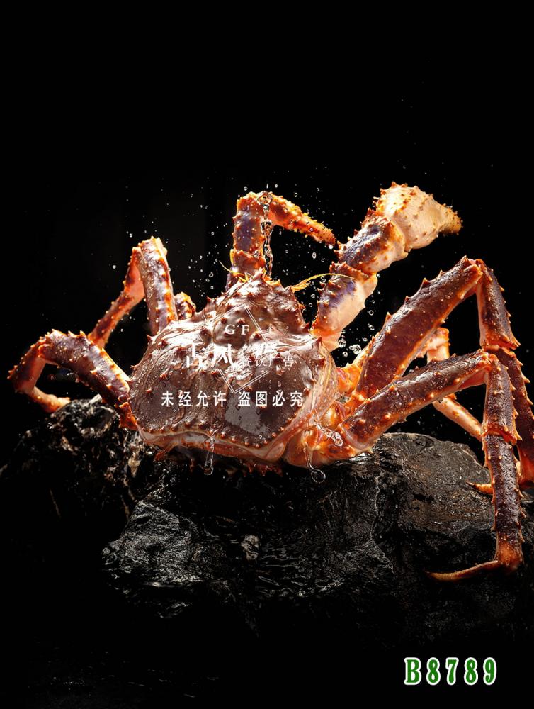 B8789帝王蟹