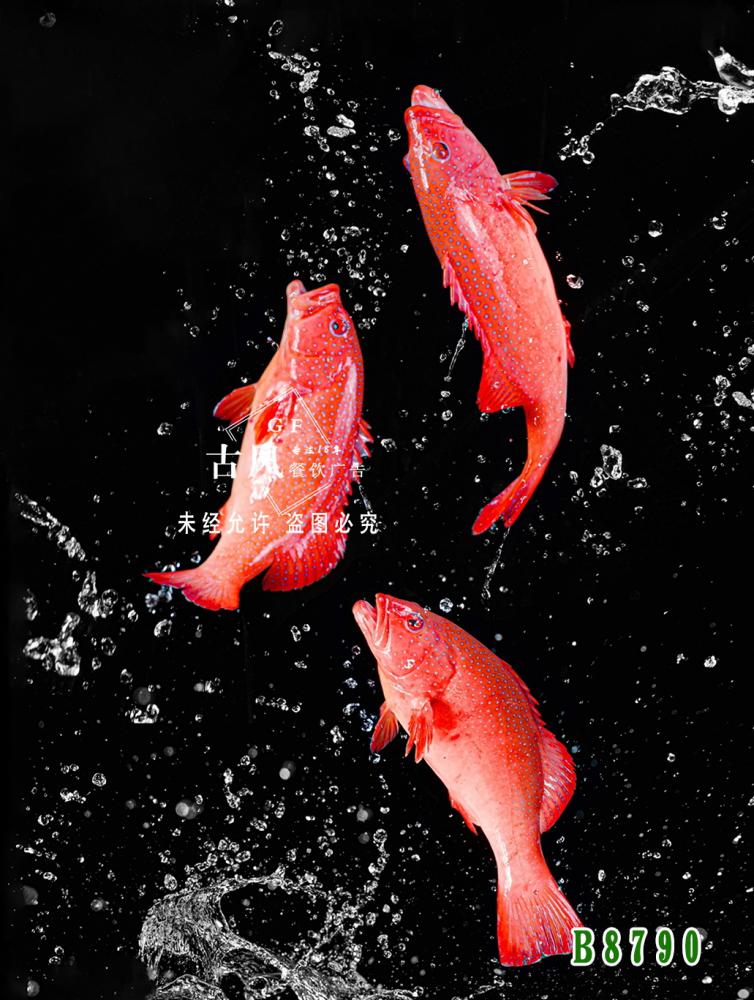 B8790東(dōng)星斑