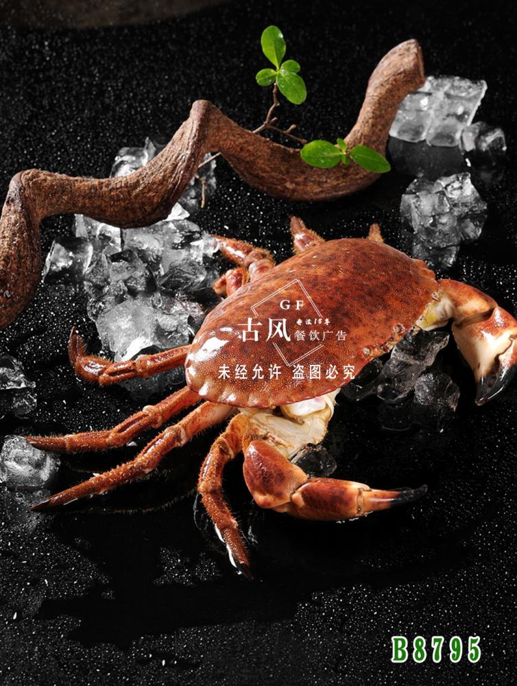 B8795面包蟹