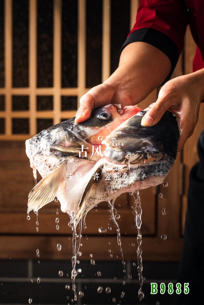B9835鮮活魚頭