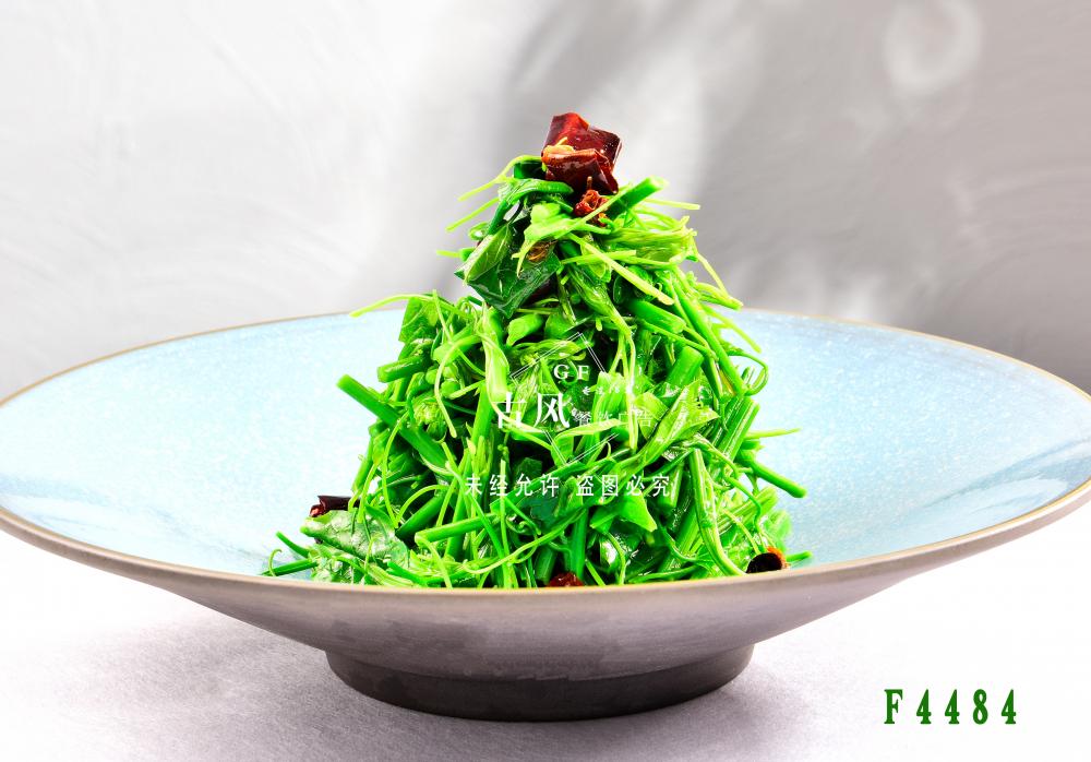 F4484炝拌辣木(mù)苗  炝拌絲瓜苗